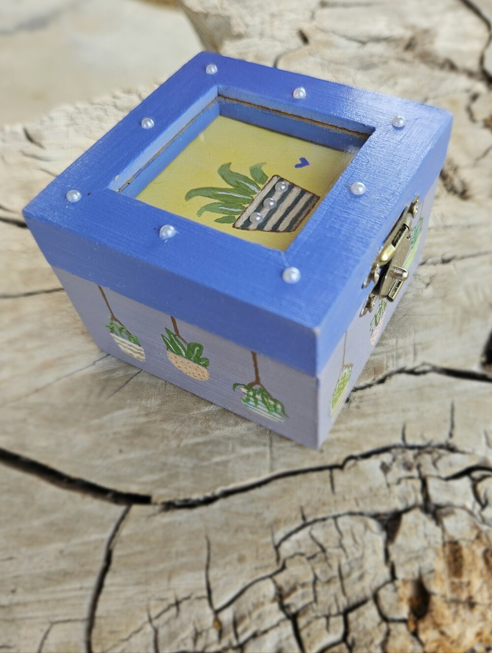 Mini Wooden Box w/ Shadow Box Top